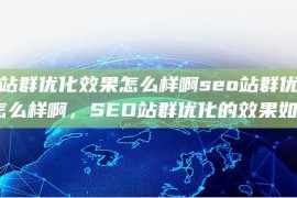 seo站群优化效果怎么样啊seo站群优化效果怎么样啊，SEO站群优化的效果如何？