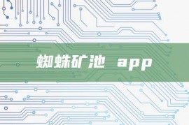 蜘蛛矿池 app