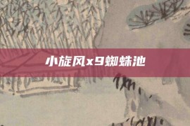 小旋风x9蜘蛛池