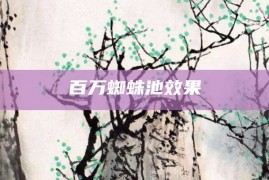 百万蜘蛛池效果