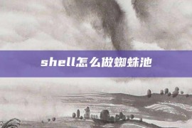 shell怎么做蜘蛛池