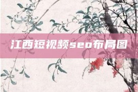 江西短视频seo布局图