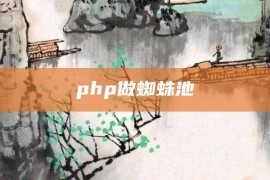 php做蜘蛛池