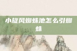 小旋风蜘蛛池怎么引蜘蛛