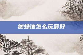 蜘蛛池怎么玩最好