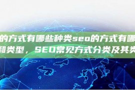 seo的方式有哪些种类seo的方式有哪些种类和类型，SEO常见方式分类及其类型