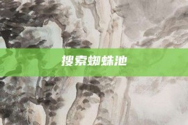 搜索蜘蛛池