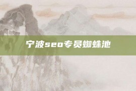 宁波seo专员蜘蛛池