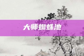 大师蜘蛛池