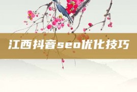 江西抖音seo优化技巧