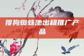 搜狗蜘蛛池出租推广产品