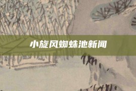 小旋风蜘蛛池新闻