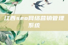 江西seo网络营销管理系统