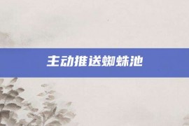 主动推送蜘蛛池