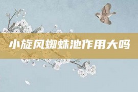 小旋风蜘蛛池作用大吗