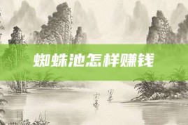 蜘蛛池怎样赚钱