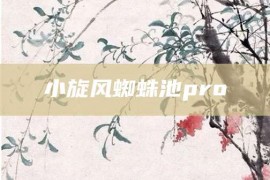 小旋风蜘蛛池pro