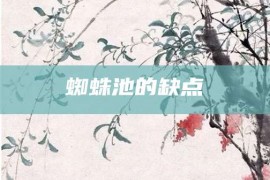 蜘蛛池的缺点