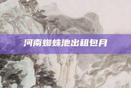 河南蜘蛛池出租包月