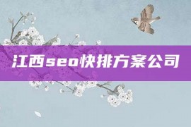 江西seo快排方案公司