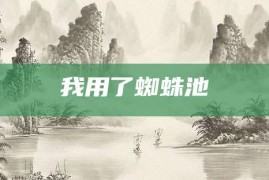 我用了蜘蛛池