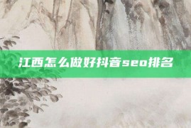 江西怎么做好抖音seo排名