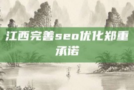 江西完善seo优化郑重承诺