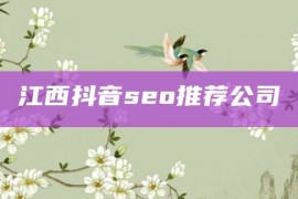 江西抖音seo推荐公司