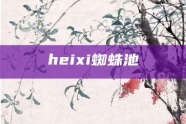 heixi蜘蛛池