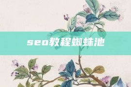 seo教程蜘蛛池