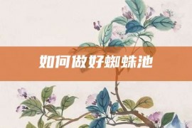 如何做好蜘蛛池