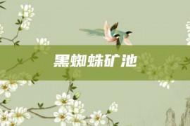 黑蜘蛛矿池