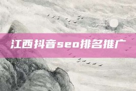 江西抖音seo排名推广