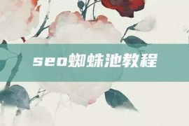 seo蜘蛛池教程