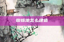 蜘蛛池怎么建造