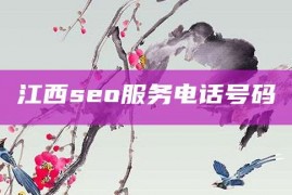 江西seo服务电话号码