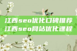 江西seo优化口碑推荐江西seo网站优化课程