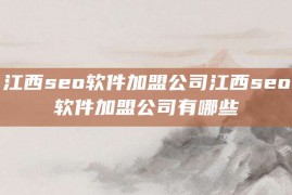 江西seo软件加盟公司江西seo软件加盟公司有哪些