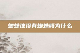 蜘蛛池没有蜘蛛吗为什么