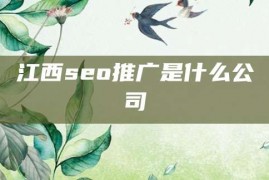 江西seo推广是什么公司