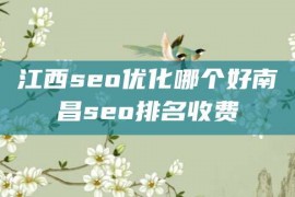 江西seo优化哪个好南昌seo排名收费