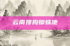 云南搜狗蜘蛛池