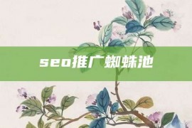 seo推广蜘蛛池