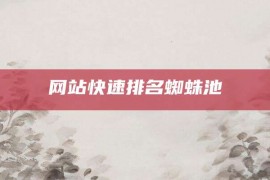 网站快速排名蜘蛛池