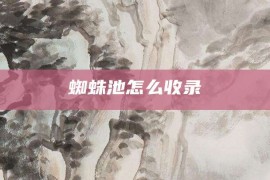 蜘蛛池怎么收录