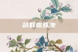 站群蜘蛛池