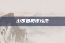 山东搜狗蜘蛛池