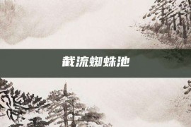 截流蜘蛛池