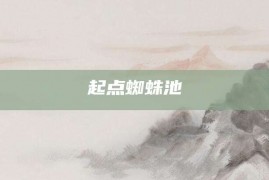 起点蜘蛛池