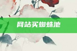 网站买蜘蛛池